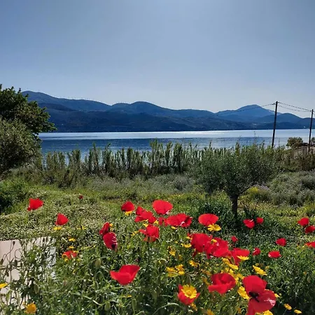 Villa Apollonides Seafront 2 Melete *