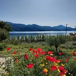 Villa Apollonides Seafront 2 Melete *
