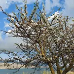 Villa Apollonides Seafront 2 Melete Lixouri