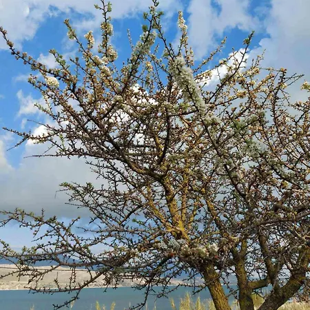 Villa Apollonides Seafront 2 Melete Lixouri